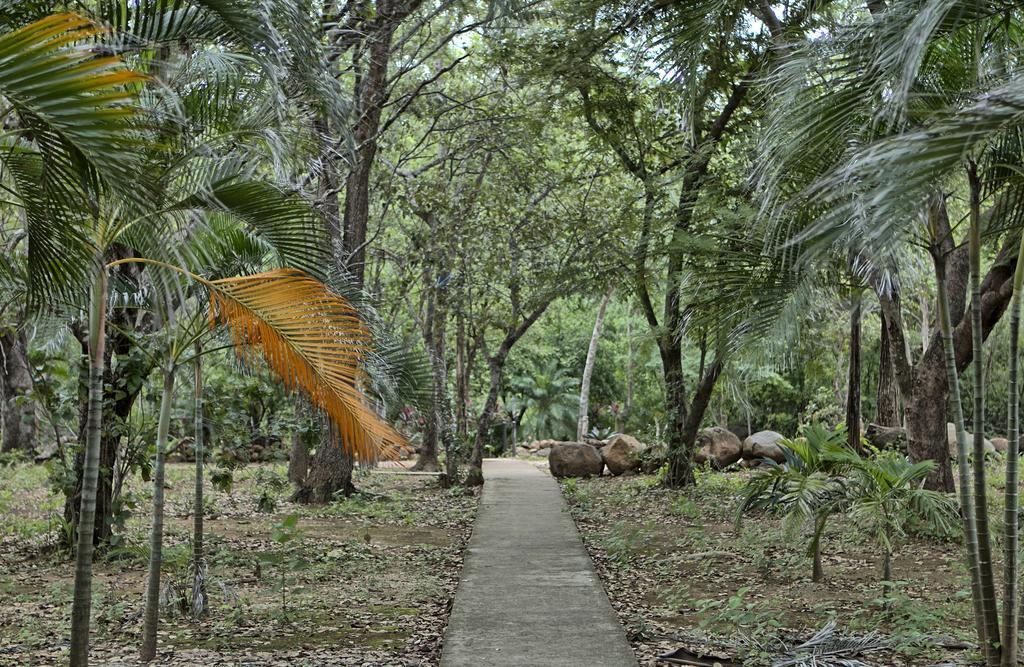 Canon De La Vieja Lodge Liberia Luaran gambar